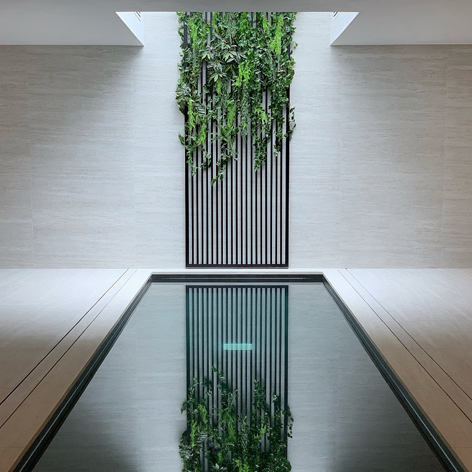 This image is a view of the swimming pool of the renovated historic townhouse.